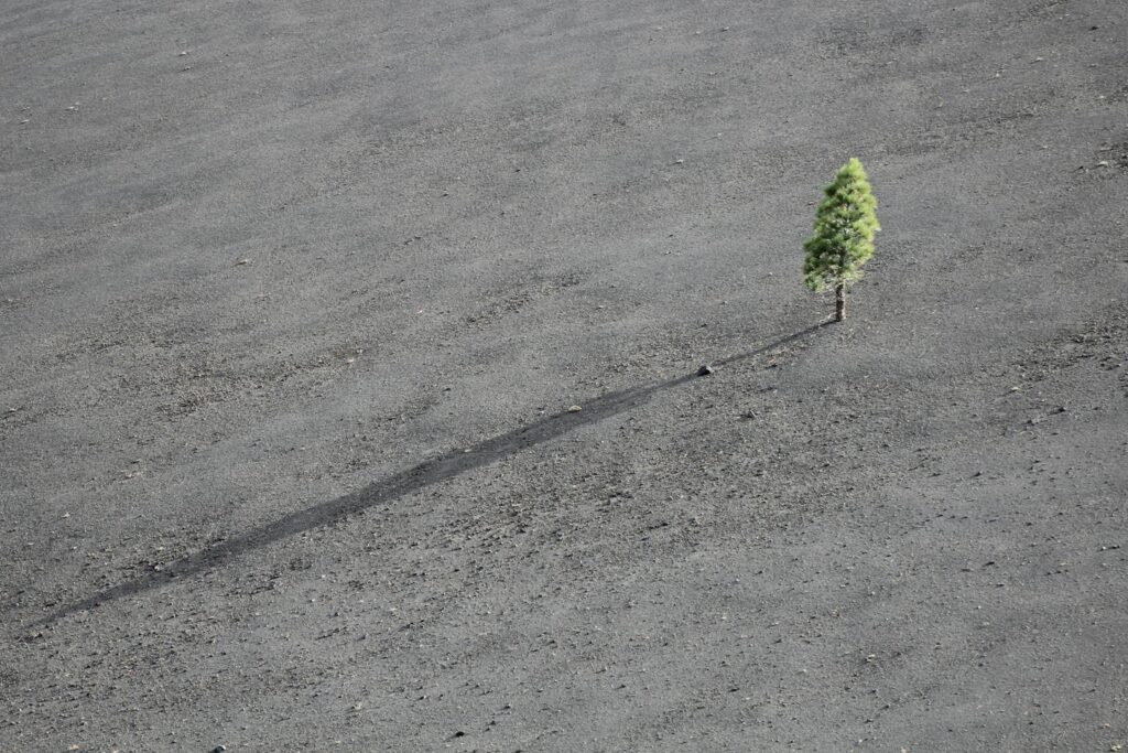 W jaki sposób dążyć do rozwoju osobistego?