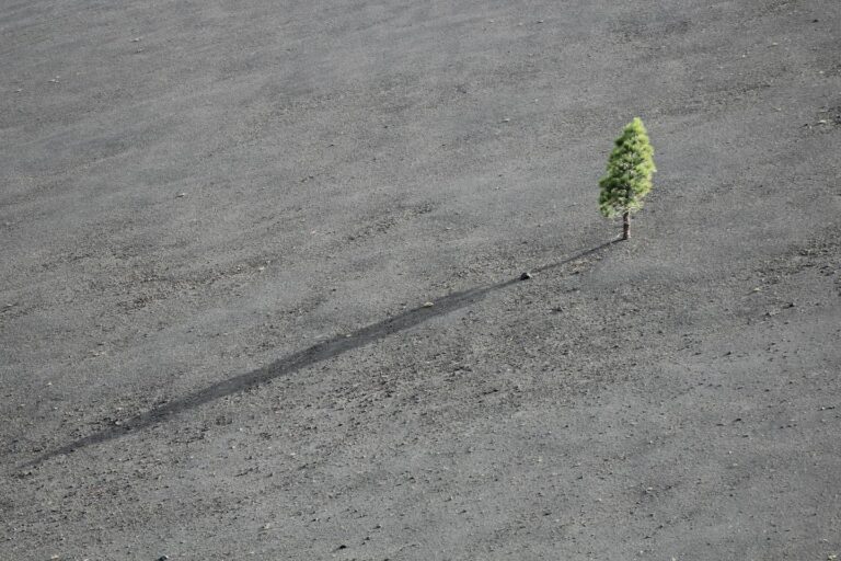 W jaki sposób dążyć do rozwoju osobistego?